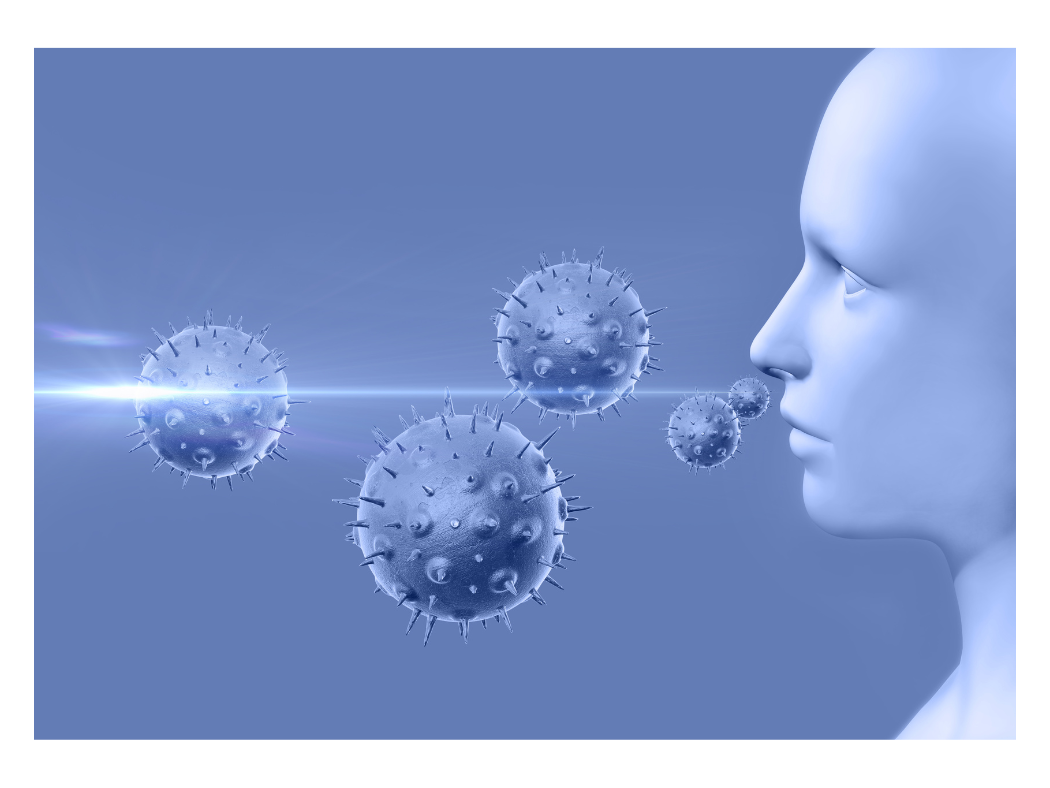 Pylova alergie_imunitní systém